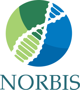 NORBIS logo